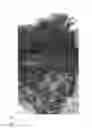 Fig. 09 - ULTRA-HIGH STRENGTH INJECTABLE HYDROGEL AND PROCESS FOR PRODUCING THE SAME