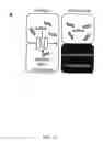 Fig. 02 - REGULATION OF AGING BY MODULATION OF MITOCHONDRIAL FUNCTION