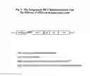 Fig. 15 - Modified Small Interfering RNA Molecules and Methods of Use