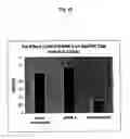 Fig. 19 - Modified Small Interfering RNA Molecules and Methods of Use