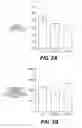 Fig. 04 - Lentiviral triplex DNA, and vectors and recombinant cells containing lentiviral triplex DNA