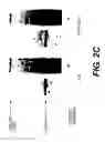 Fig. 05 - Lentiviral triplex DNA, and vectors and recombinant cells containing lentiviral triplex DNA