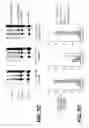 Fig. 10 - Lentiviral triplex DNA, and vectors and recombinant cells containing lentiviral triplex DNA