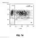 Fig. 13 - Lentiviral triplex DNA, and vectors and recombinant cells containing lentiviral triplex DNA