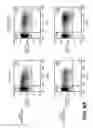Fig. 16 - Lentiviral triplex DNA, and vectors and recombinant cells containing lentiviral triplex DNA