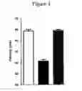 Fig. 04 - USE OF PUFAS TO TREAT NERVE DAMAGE