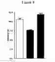 Fig. 09 - USE OF PUFAS TO TREAT NERVE DAMAGE