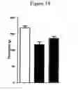 Fig. 11 - USE OF PUFAS TO TREAT NERVE DAMAGE