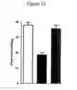 Fig. 13 - USE OF PUFAS TO TREAT NERVE DAMAGE