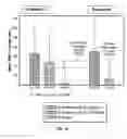Fig. 08 - Tranexamic acid formulations