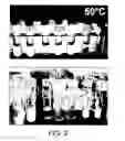 Fig. 03 - Oleoylethanolamide based functional mesophases