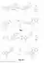Fig. 02 - Small molecule inhibitors of Dusp6 and uses therefor