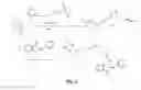 Fig. 05 - Small molecule inhibitors of Dusp6 and uses therefor