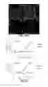 Fig. 10 - Small molecule inhibitors of Dusp6 and uses therefor