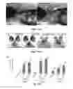 Fig. 17 - Small molecule inhibitors of Dusp6 and uses therefor