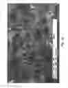 Fig. 03 - NEW POLYSACCHARIDE-BASED MATERIALS