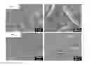 Fig. 01 - Oil-dispersible composite of metallic nanoparticle and method for synthesizing same