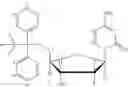 Fig. 31 - Multifunctional forms of polyoxazoline copolymers and drug compositions comprising the same