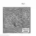 Fig. 02 - Polymer alloy, process for producing same, and molded article