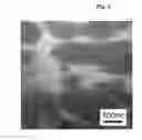 Fig. 03 - Polymer alloy, process for producing same, and molded article