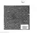 Fig. 04 - Polymer alloy, process for producing same, and molded article