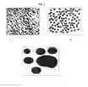 Fig. 05 - Polymer alloy, process for producing same, and molded article