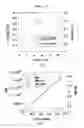 Fig. 03 - METHOD FOR PREPARING OLEFIN-BASED SEGMENTED COPOLYMERS
