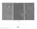Fig. 15 - Multiamino acid-based poly(ester amide)s