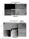 Fig. 05 - Additive for the crystallization of proteins, use and process