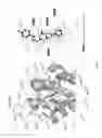 Fig. 07 - Human Aadenosine receptor crystals and uses thereof