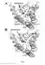 Fig. 08 - Human Aadenosine receptor crystals and uses thereof