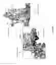 Fig. 17 - Human Aadenosine receptor crystals and uses thereof