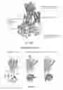 Fig. 18 - Human Aadenosine receptor crystals and uses thereof