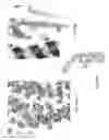 Fig. 20 - Human Aadenosine receptor crystals and uses thereof