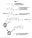 Fig. 02 - Therapeutic nucleic acid-3′-conjugates