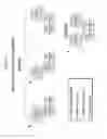 Fig. 10 - Constructs and libraries comprising antibody surrogate light chain sequences