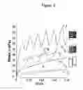 Fig. 04 - Enhanced friction of micropatterned surfaces immersed in magnetorheological fluid