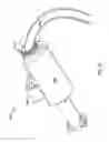 Fig. 18 - Methods of advancing a cannula system into a body