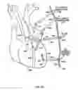 Fig. 13 - Stabilizer for robotic beating-heart surgery
