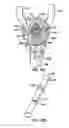 Fig. 19 - Stabilizer for robotic beating-heart surgery