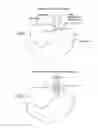 Fig. 02 - METHODS AND APPARATUS FOR TESTING DISRUPTION OF A VAGAL NERVE