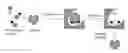 Fig. 01 - IMPLANTABLE THERANOSTIC ARTICLE