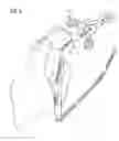 Fig. 04 - IMAGING APPARATUS FOR LARGE AREA IMAGING OF A BODY PORTION