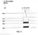 Fig. 06 - BIOLOGICAL INFORMATION PROCESSING APPARATUS AND BIOLOGICAL INFORMATION PROCESSING PROGRAM