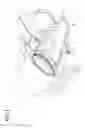 Fig. 02 - Sphygmomanometer