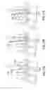 Fig. 30 - Flexible neural localization devices and methods