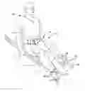 Fig. 01 - Garment with lumbar traction device