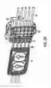 Fig. 49 - Medical treatment system and methods using a plurality of fluid lines