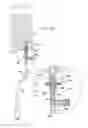 Fig. 29 - Safety drug handling device