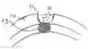 Fig. 01 - METHOD AND APPARATUS FOR TRANSPORT OF SUBSTANCES INTO BODY TISSUE